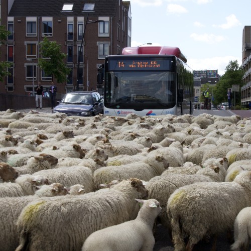 Mobiliteit en bereikbaarheid
